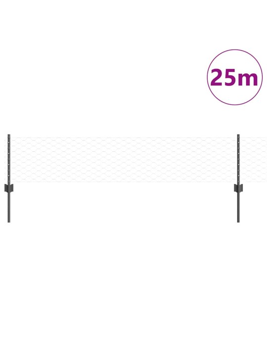 Aed koos postidega hall 0.4 x 25 m teras
