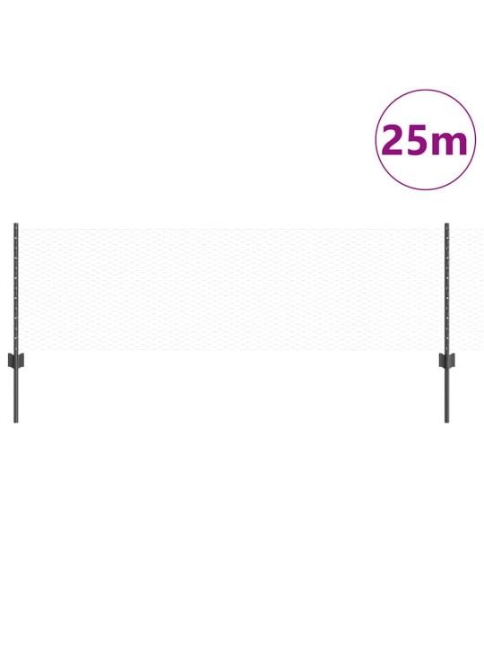 Aed koos postidega hall 0.6 x 25 m teras