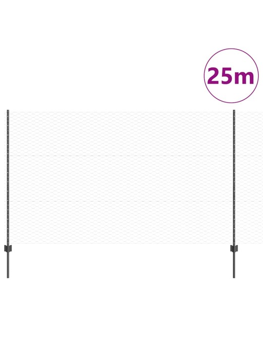 Aed koos postidega hall 1.4 x 25 m teras