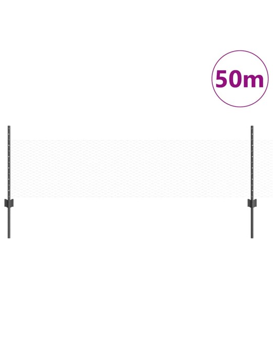 Aed koos postidega hall 0.5 x 50 m teras