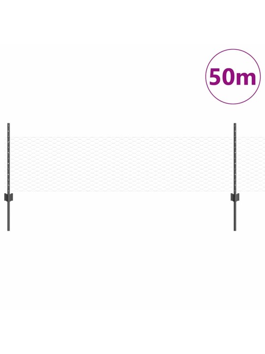 Aed koos postidega hall 0.5 x 50 m teras