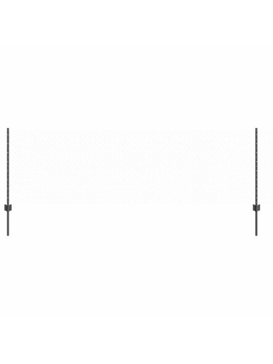 Aed koos postidega hall 0.8 x 50 m teras