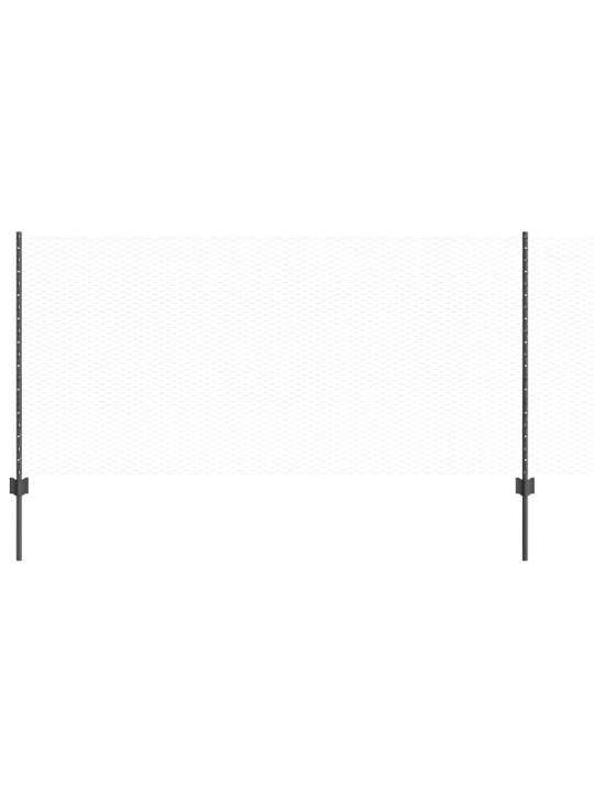 Aed koos postidega hall 1 x 50 m teras