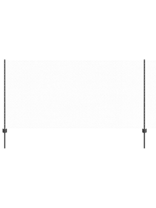 Aed koos postidega hall 1.2 x 50 m teras