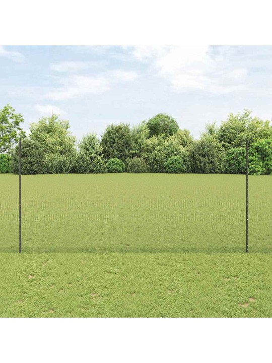 Aed koos postidega hall 1.5 x 50 m teras