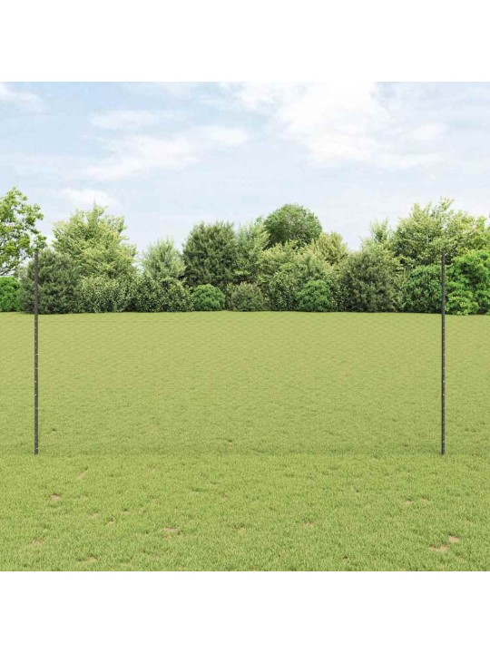 Aed koos postidega hall 1.5 x 50 m teras