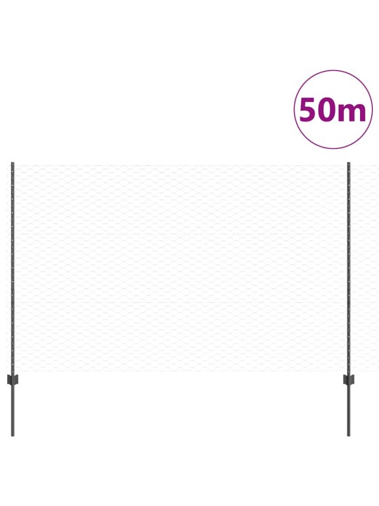 Aed koos postidega hall 1.5 x 50 m teras