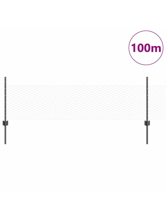 Aed koos postidega hall 0.5 x 100 m teras