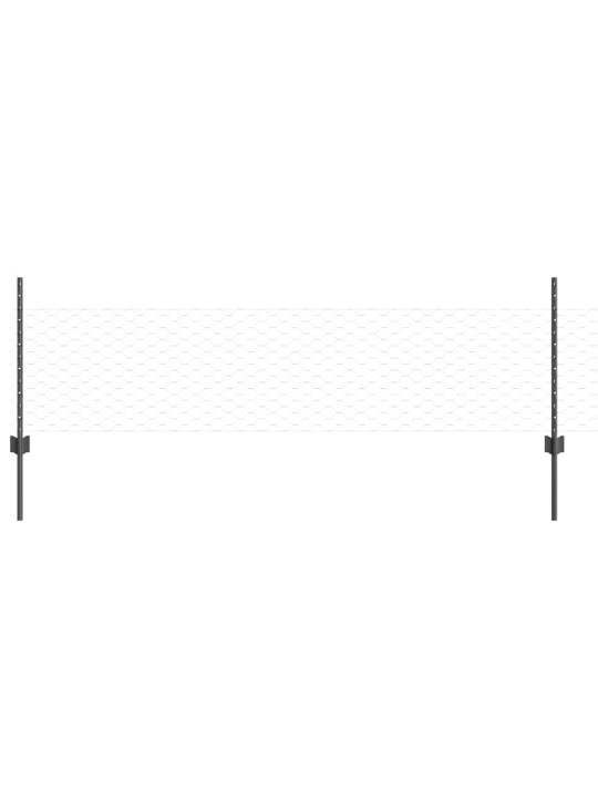 Aed koos postidega hall 0.5 x 100 m teras