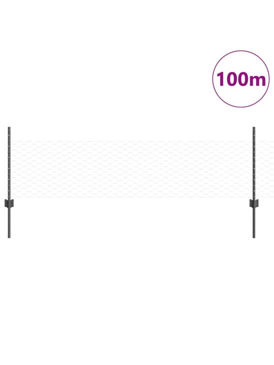 Aed koos postidega hall 0.5 x 100 m teras