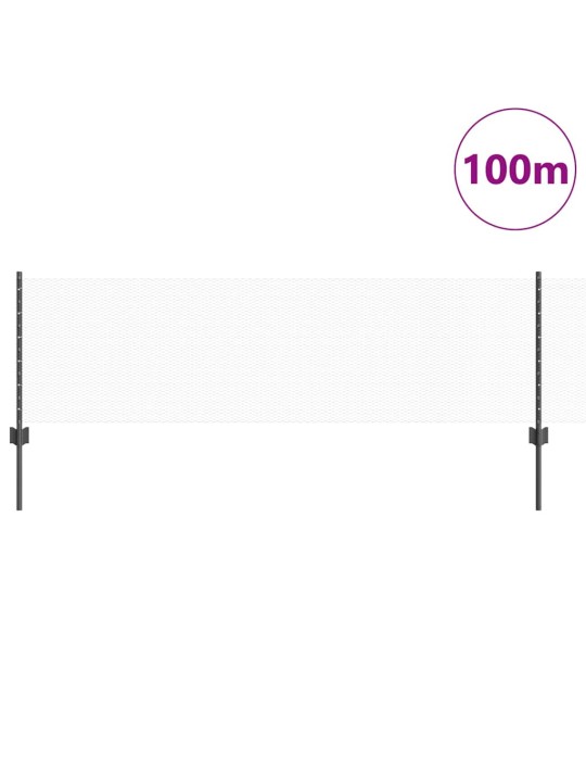 Aed koos postidega hall 0.6 x 100 m teras