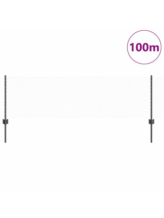 Aed koos postidega hall 0.6 x 100 m teras