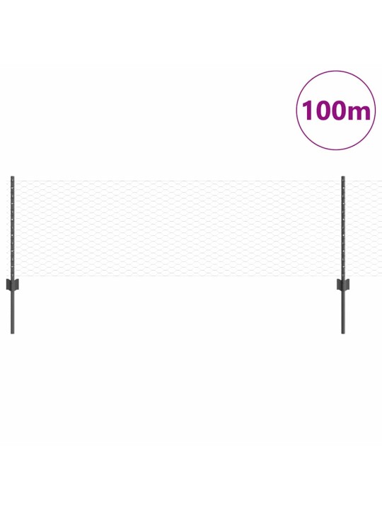 Aed koos postidega hall 0.6 x 100 m teras
