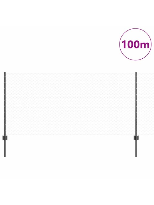 Aed koos postidega hall 1 x 100 m teras