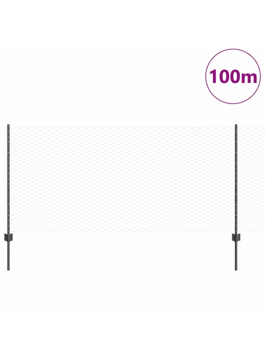 Aed koos postidega hall 1 x 100 m teras