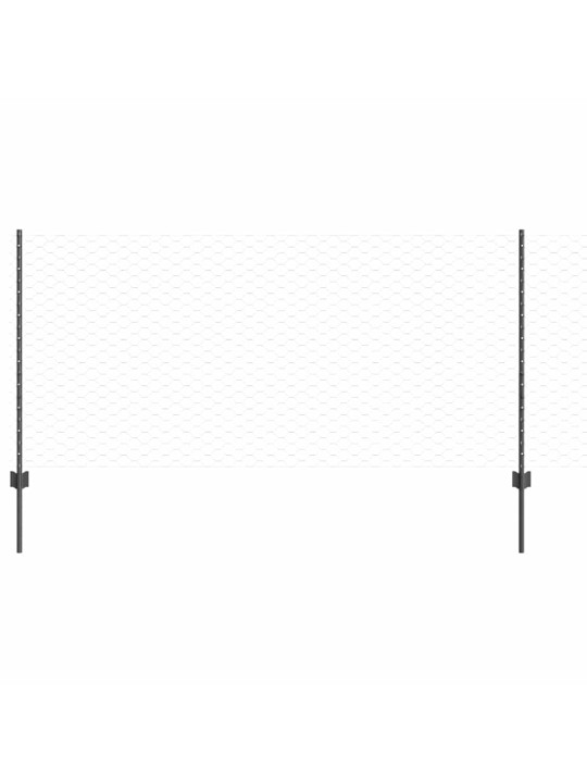 Aed koos postidega hall 1 x 100 m teras
