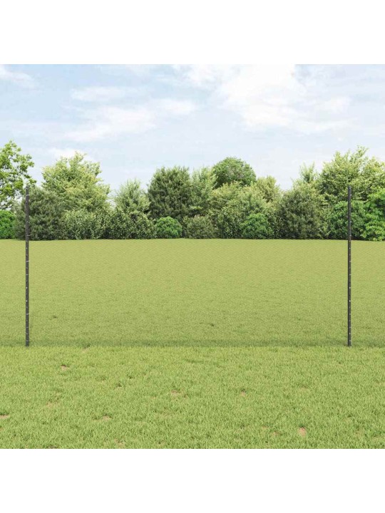 Aed koos postidega hall 1.2 x 100 m teras