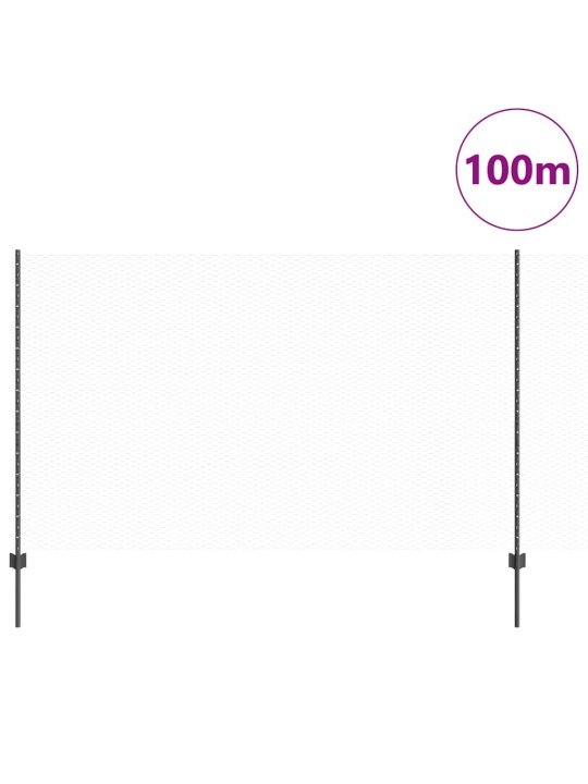 Aed koos postidega hall 1.4 x 100 m teras