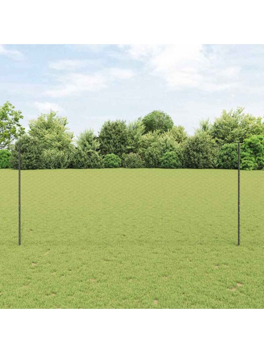 Aed koos postidega hall 1.4 x 100 m teras