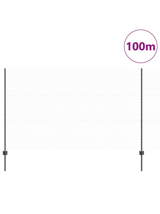 Aed koos postidega hall 1.4 x 100 m teras