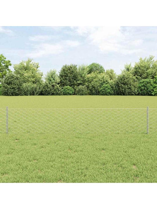 Aed koos postidega hõbedane 0.4 x 10 m teras