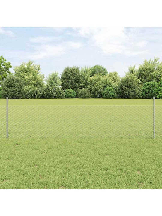 Aed koos postidega hõbedane 0.5 x 10 m teras