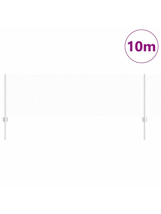 Aed koos postidega hõbedane 0.6 x 10 m teras