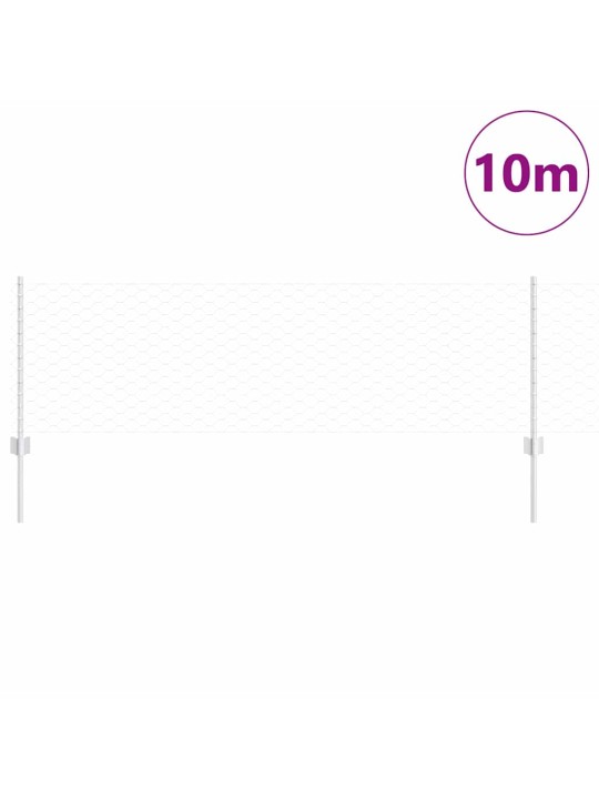 Aed koos postidega hõbedane 0.6 x 10 m teras