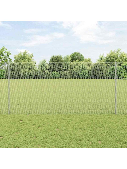 Aed koos postidega hõbedane 1.2 x 10 m teras