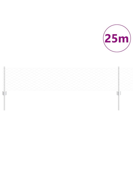 Aed koos postidega hõbedane 0.4 x 25 m teras