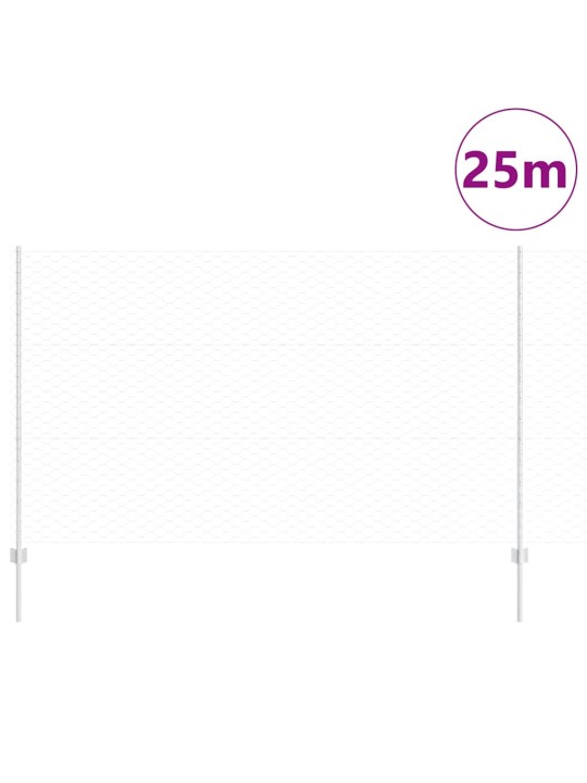 Aed koos postidega hõbedane 1.4 x 25 m teras
