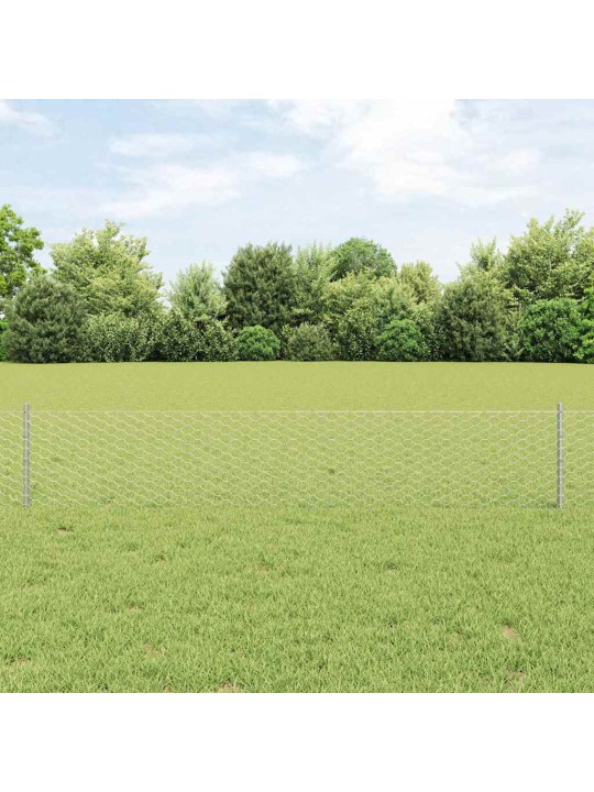 Aed koos postidega hõbedane 0.4 x 50 m teras