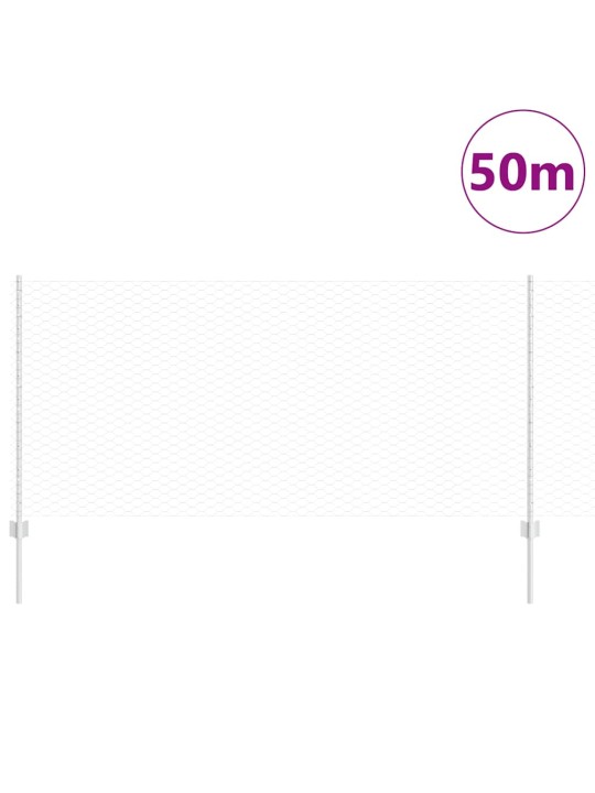 Aed koos postidega hõbedane 1 x 50 m teras