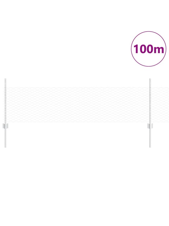 Aed koos postidega hõbedane 0.5 x 100 m teras