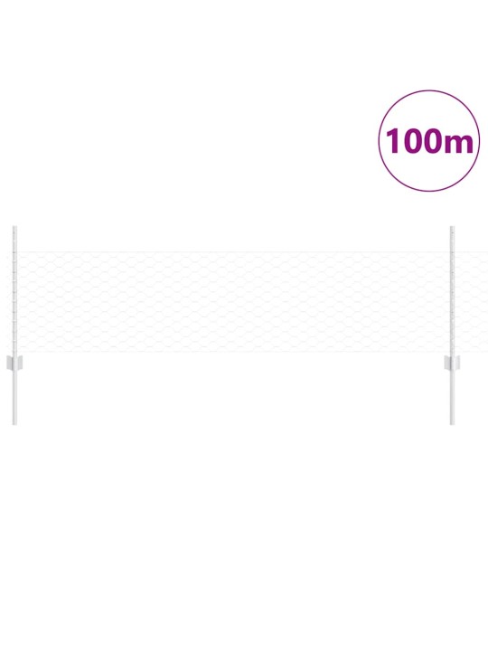 Aed koos postidega hõbedane 0.5 x 100 m teras