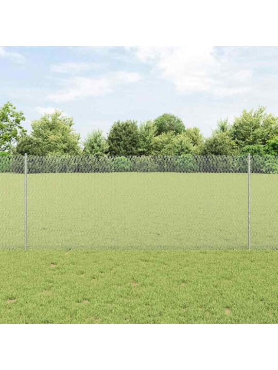 Aed koos postidega hõbedane 1 x 100 m teras