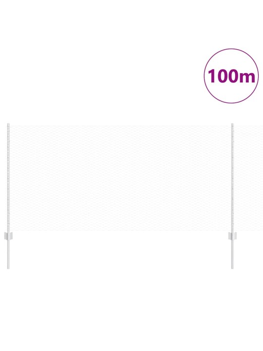 Aed koos postidega hõbedane 1 x 100 m teras