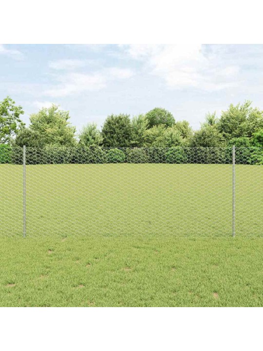 Aed koos postidega hõbedane 1 x 100 m teras