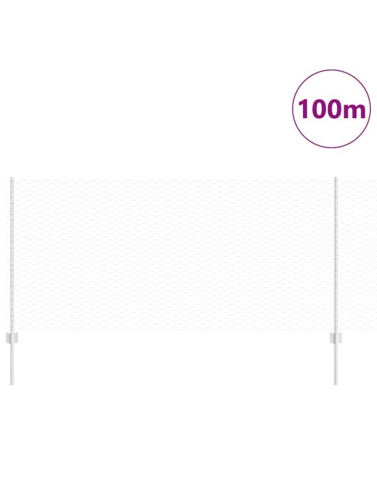 Aed koos postidega hõbedane 1 x 100 m teras