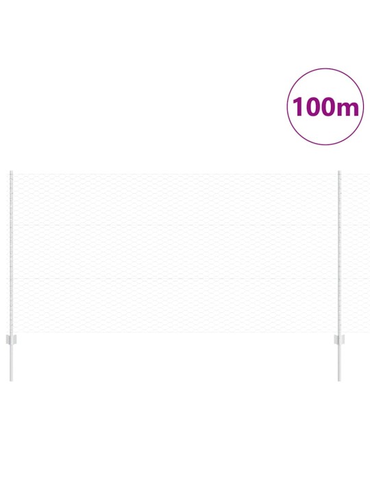Aed koos postidega hõbedane 1.2 x 100 m teras