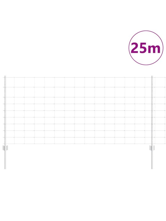 Aed koos postidega hõbedane 1 x 25 m teras