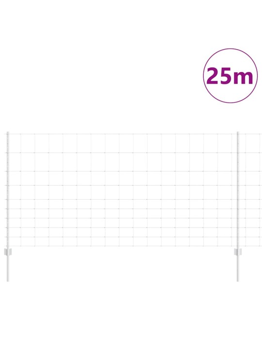 Aed koos postidega hõbedane 1.2 x 25 m teras
