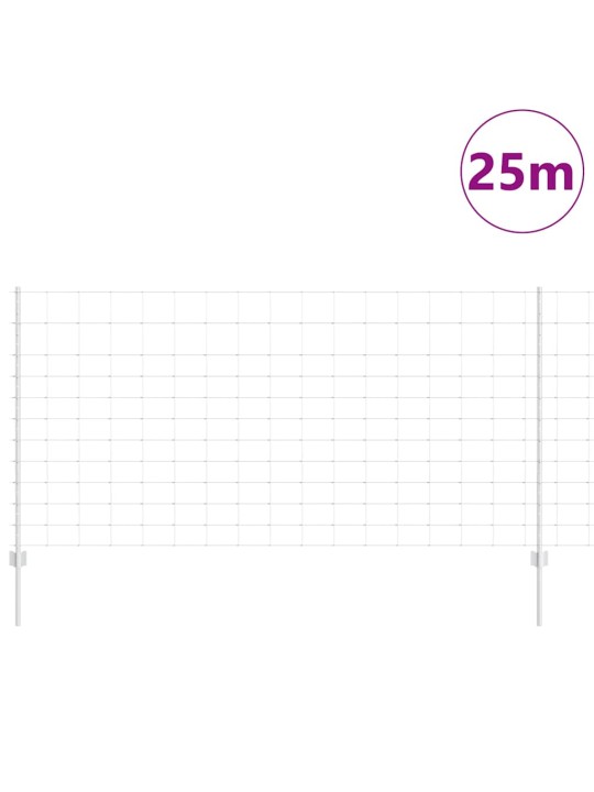 Aed koos postidega hõbedane 1.2 x 25 m teras