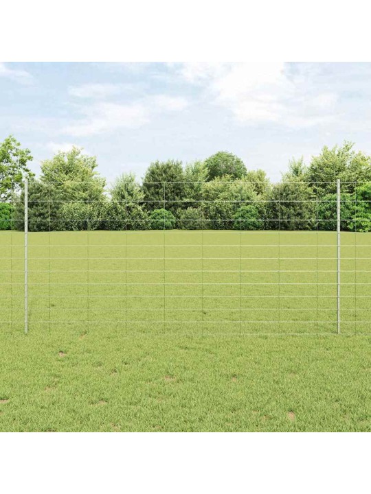 Aed koos postidega hõbedane 1.2 x 25 m teras