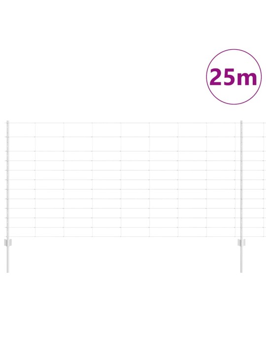 Aed koos postidega hõbedane 1.2 x 25 m teras