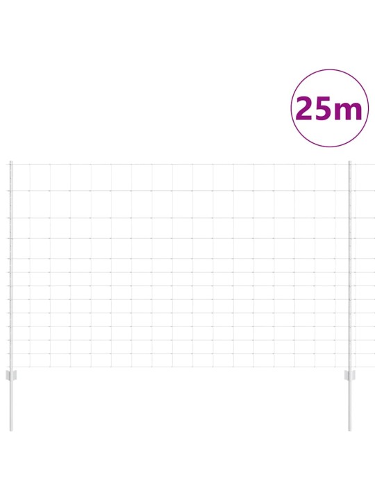 Aed koos postidega hõbedane 1.5 x 25 m teras