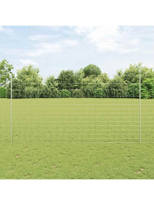 Aed koos postidega hõbedane 1.6 x 25 m teras