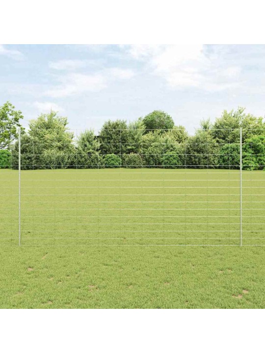 Aed koos postidega hõbedane 1.6 x 25 m teras