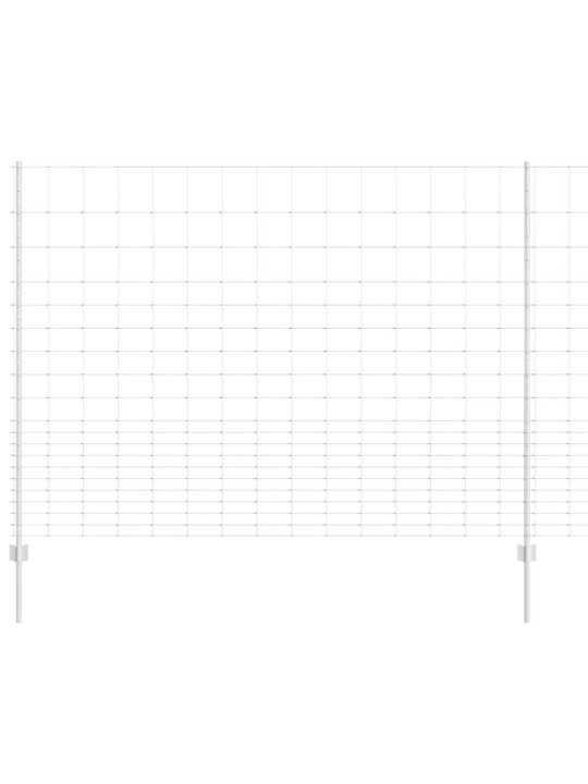Aed koos postidega hõbedane 1.6 x 25 m teras
