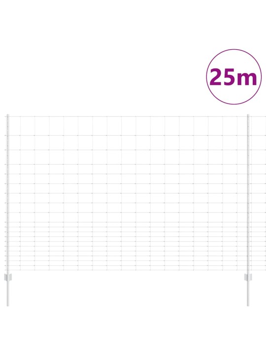 Aed koos postidega hõbedane 1.6 x 25 m teras